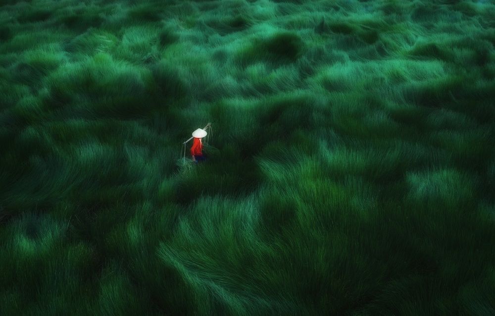 Passing the wild field