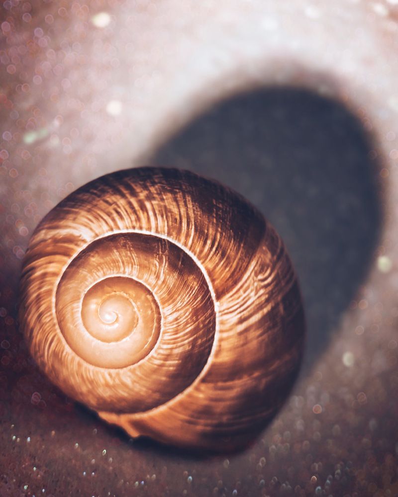 Photograph by Татьяна Левашова