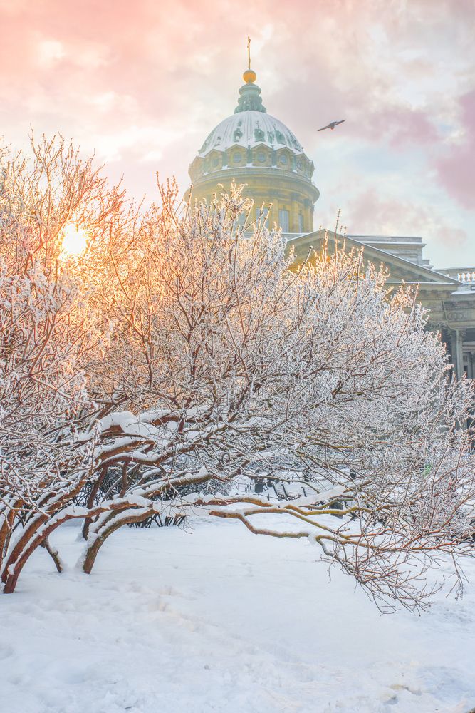 Photograph by Наталья Краснова