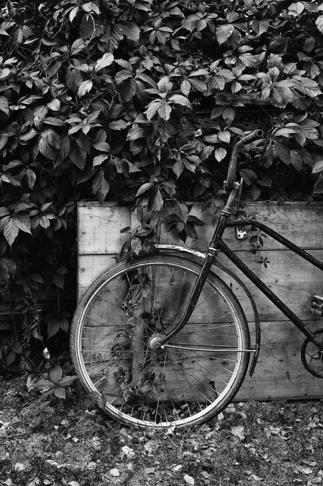 Photograph by Богдан Тарасов