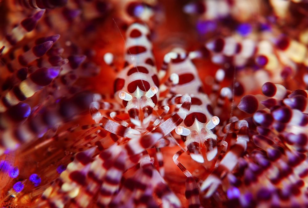 Фотография автора Нарчук Андрей