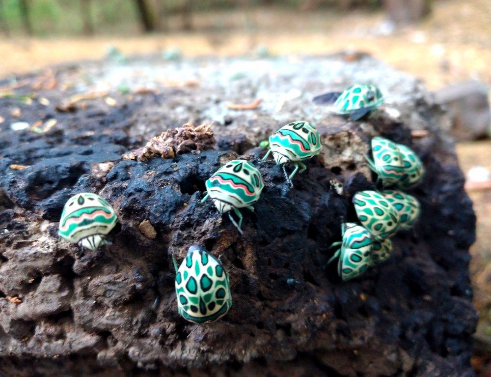 Photograph by amanuael amanuael