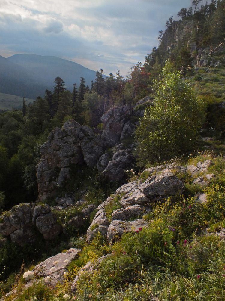 Photograph by Дмитрий Крылов