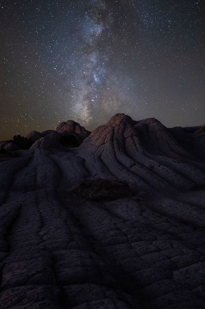 Photograph by Lana Anferow