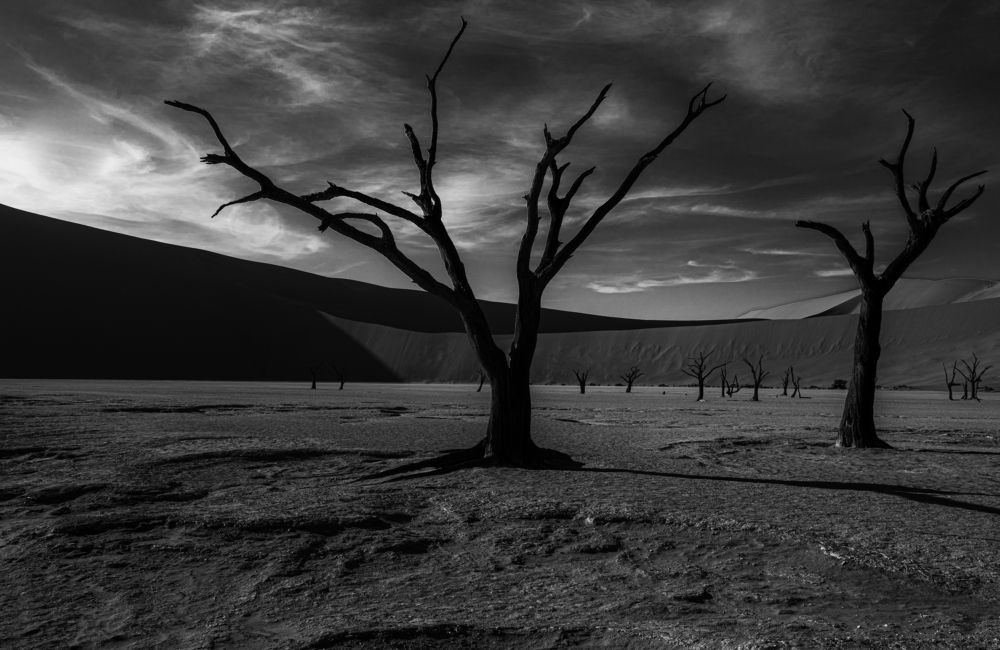 Photograph by Марина Сидоренко