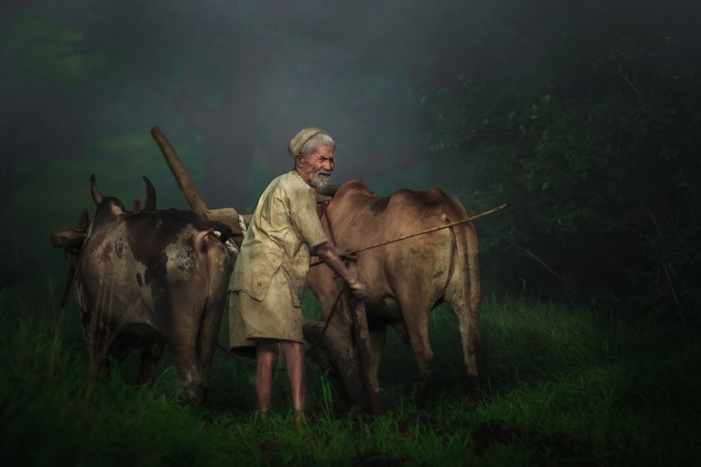 Photograph by Prathamesh Shewale