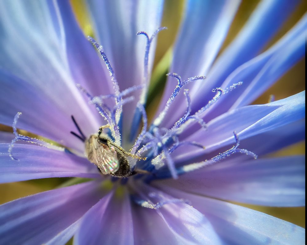 Фотография автора Дмитрий Деревянко