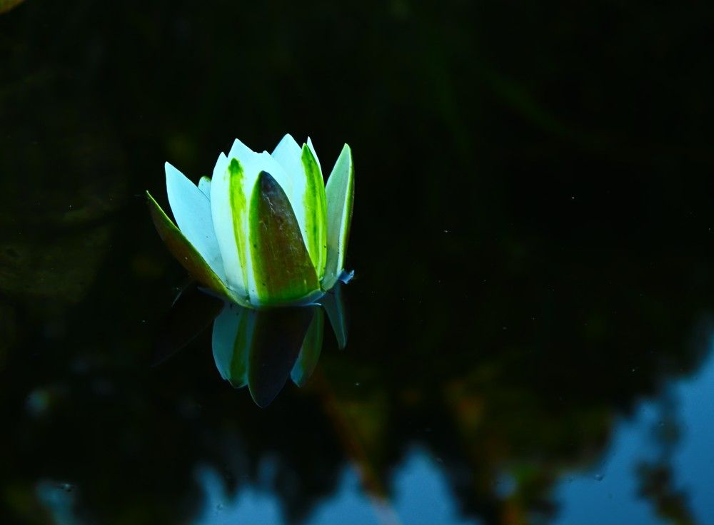 Photograph by Родосская Нонна