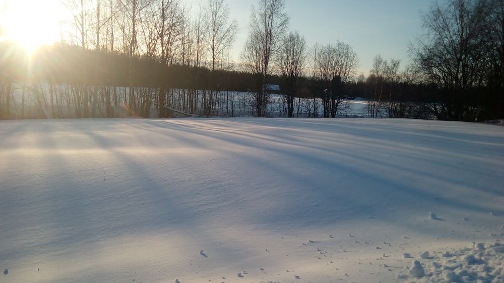 Photo #5846308