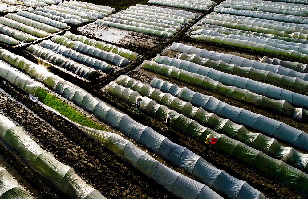 Photograph by LE CONG BINH