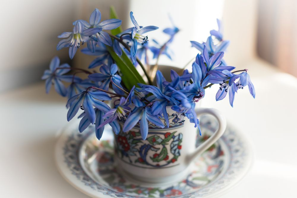 Photograph by Александр Руцкой