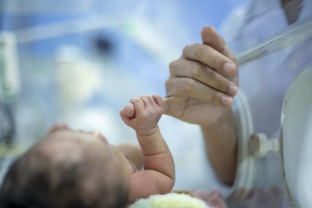 Photograph by Hong Tran