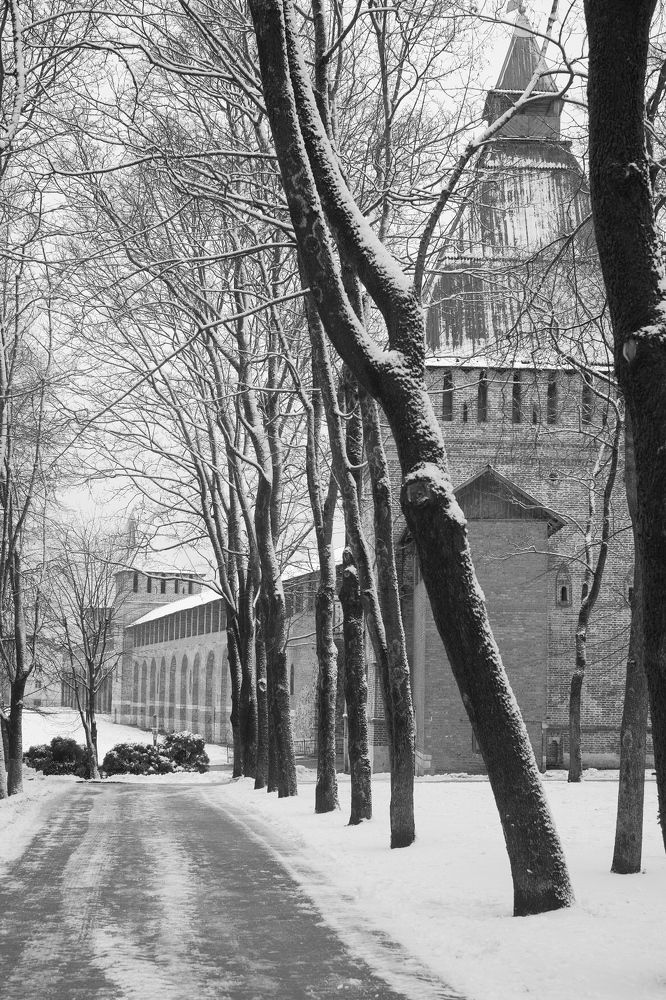 Photograph by Алексей Большаков