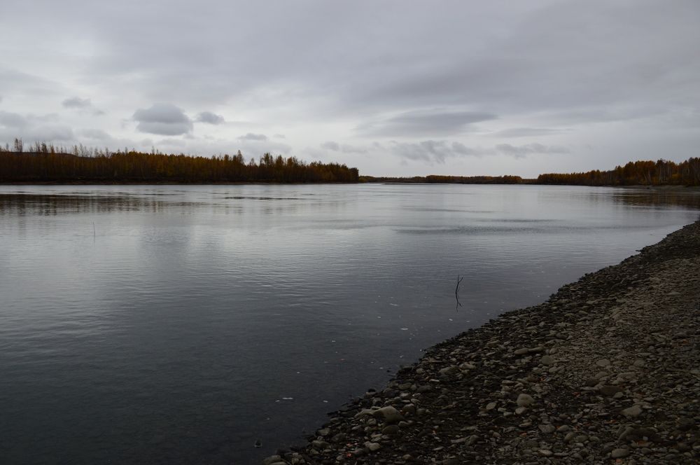 Photograph by Юрий Солодовников