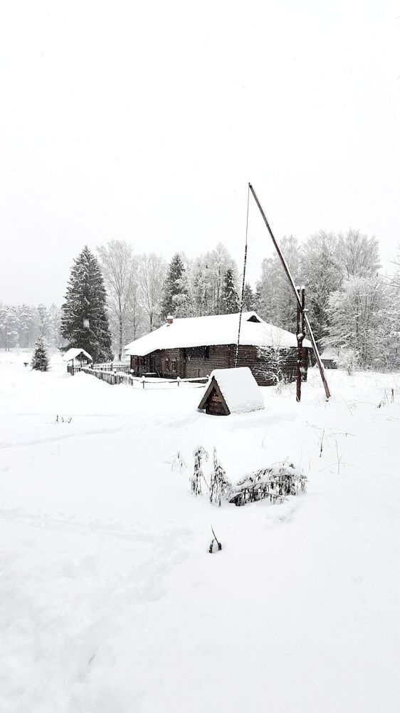 Путешествие в историю