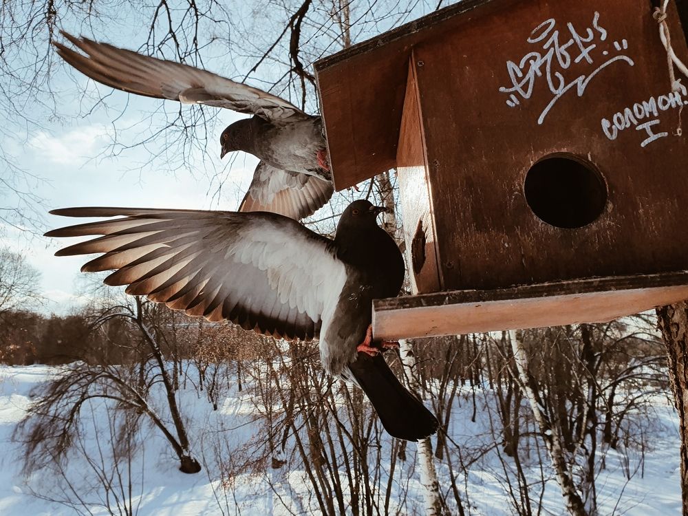 Photograph by Евгения Шолохова