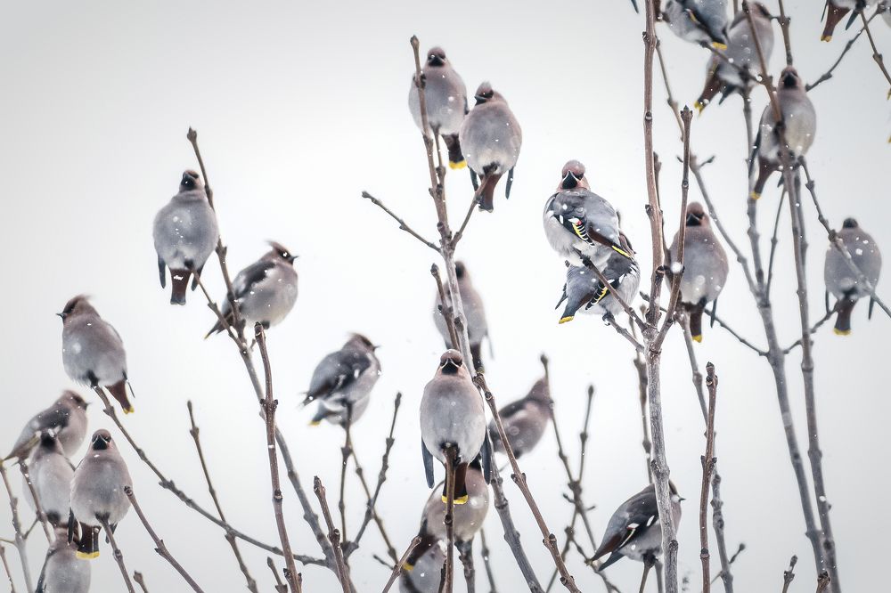 Photograph by Дмитрий Огольцов