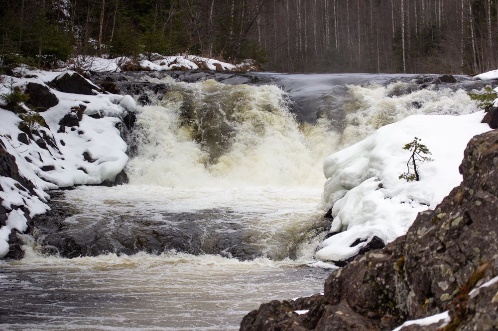 Photograph by Василий Бережной