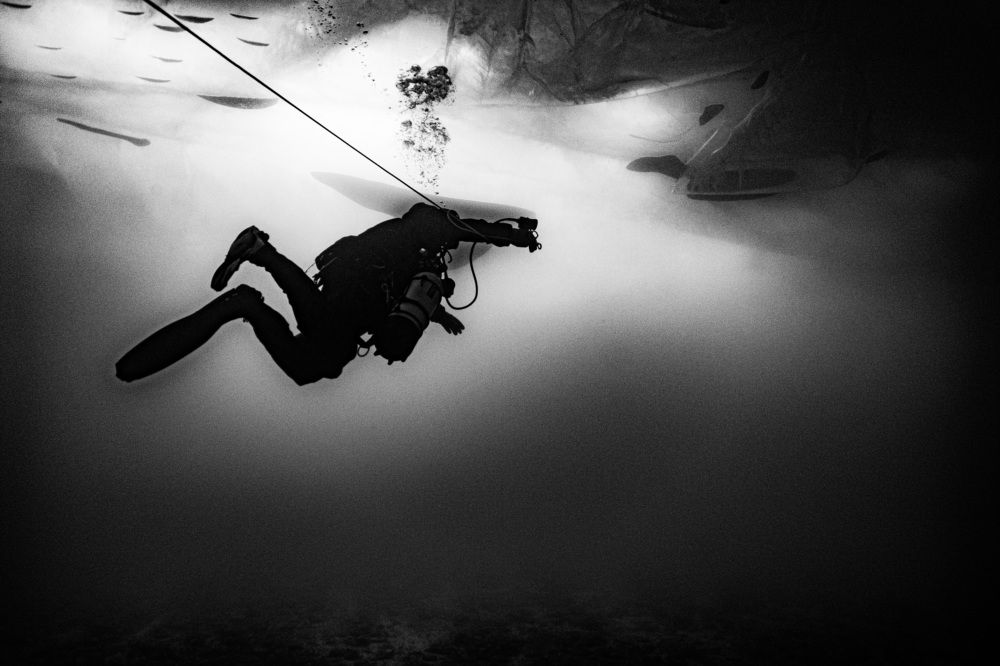 Photograph by Дмитрий Плотников