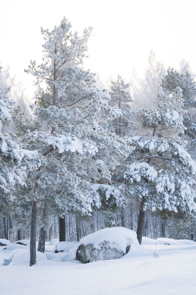 Photograph by helga golubew