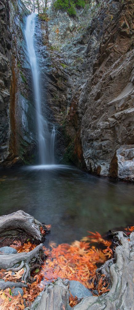 Photograph by Семён Кузнецов