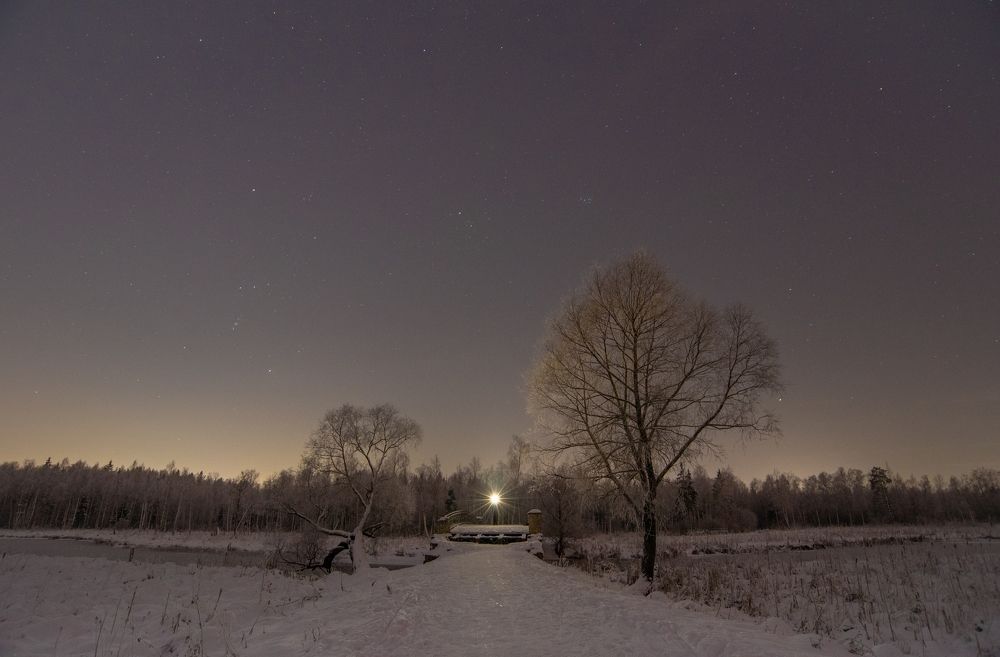 Photograph by Дарья Меркулова