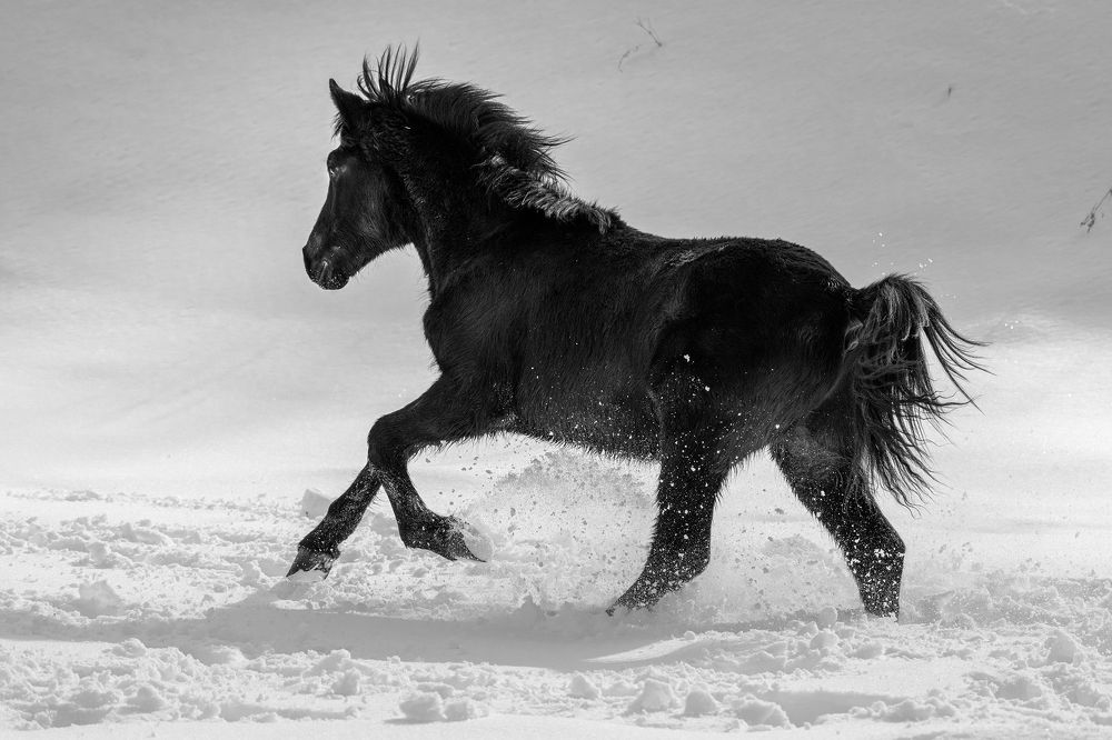 Зимние игры!