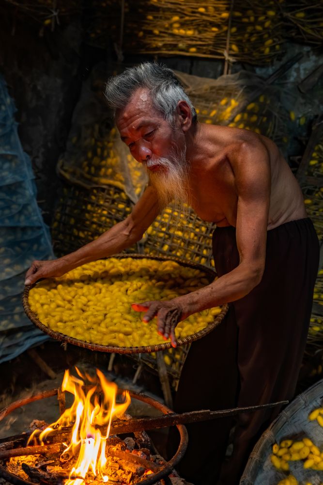 Drying cocoon at Thai Binh's silk village
