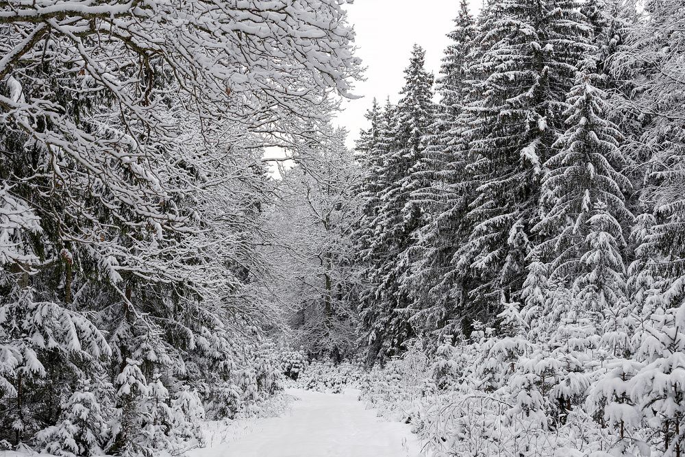 Photograph by Денис Ярви