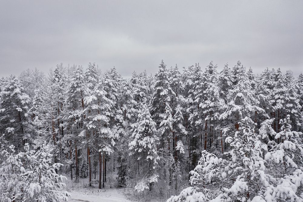 Photograph by Денис Ярви