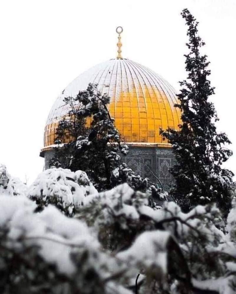 Photograph by Shawlin Beg shawlen