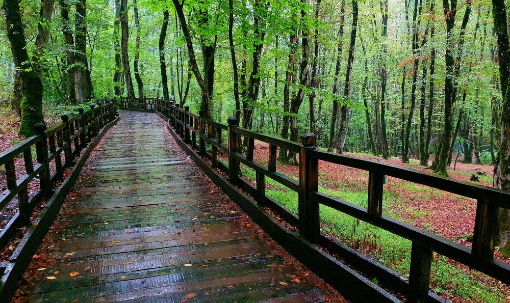 Photograph by Reza Vafadoust