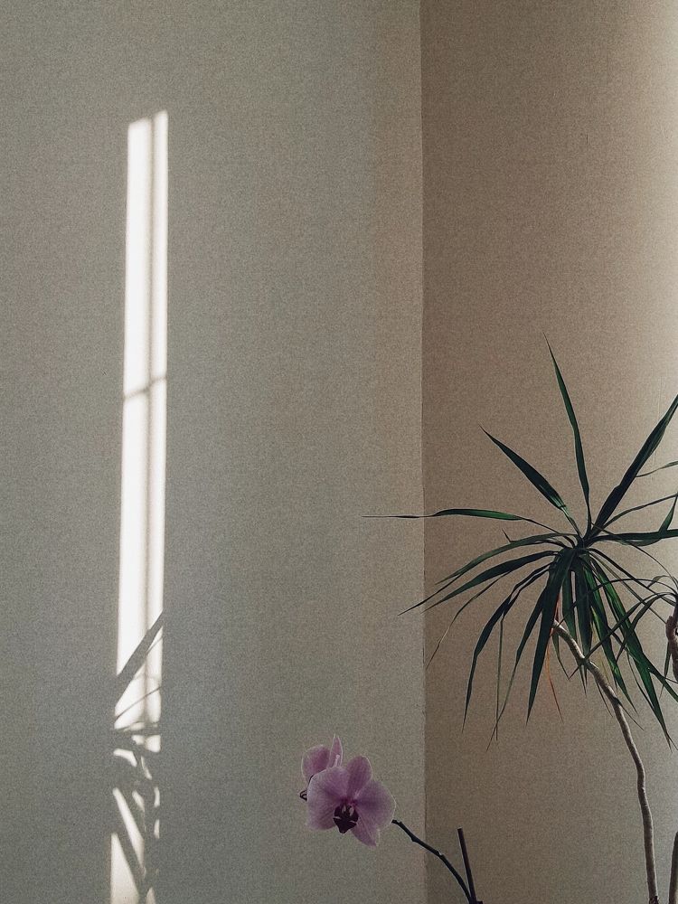 Photograph by Liudmila Pilets