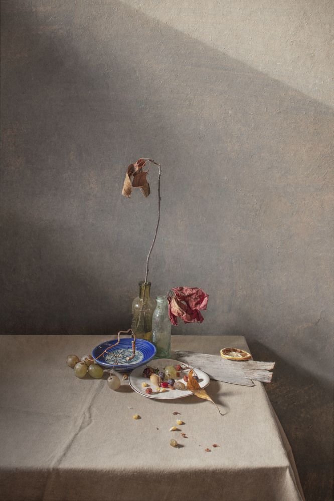 Фотография автора Коршак Елена