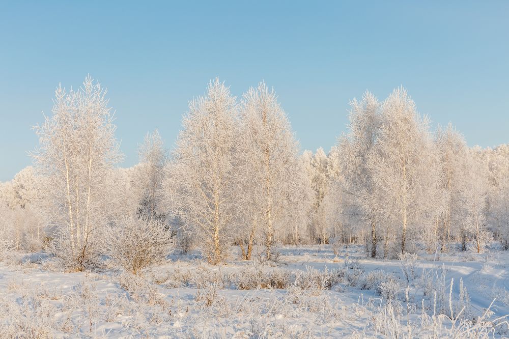 Photograph by Иван Логинов