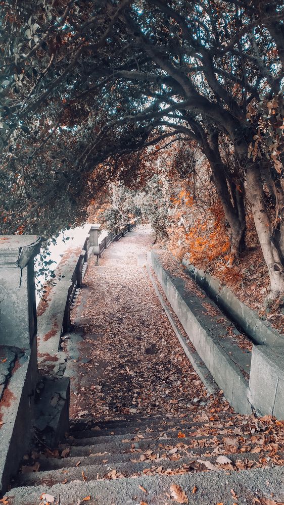 Photograph by Ирина Лузянина