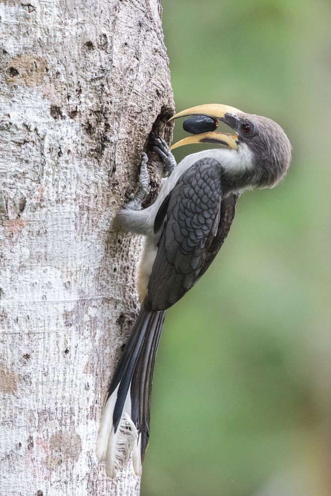 Photograph by Senadheera Danushka