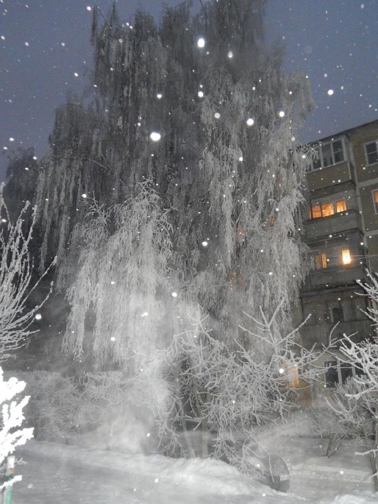 Photograph by Ольга Богонатова
