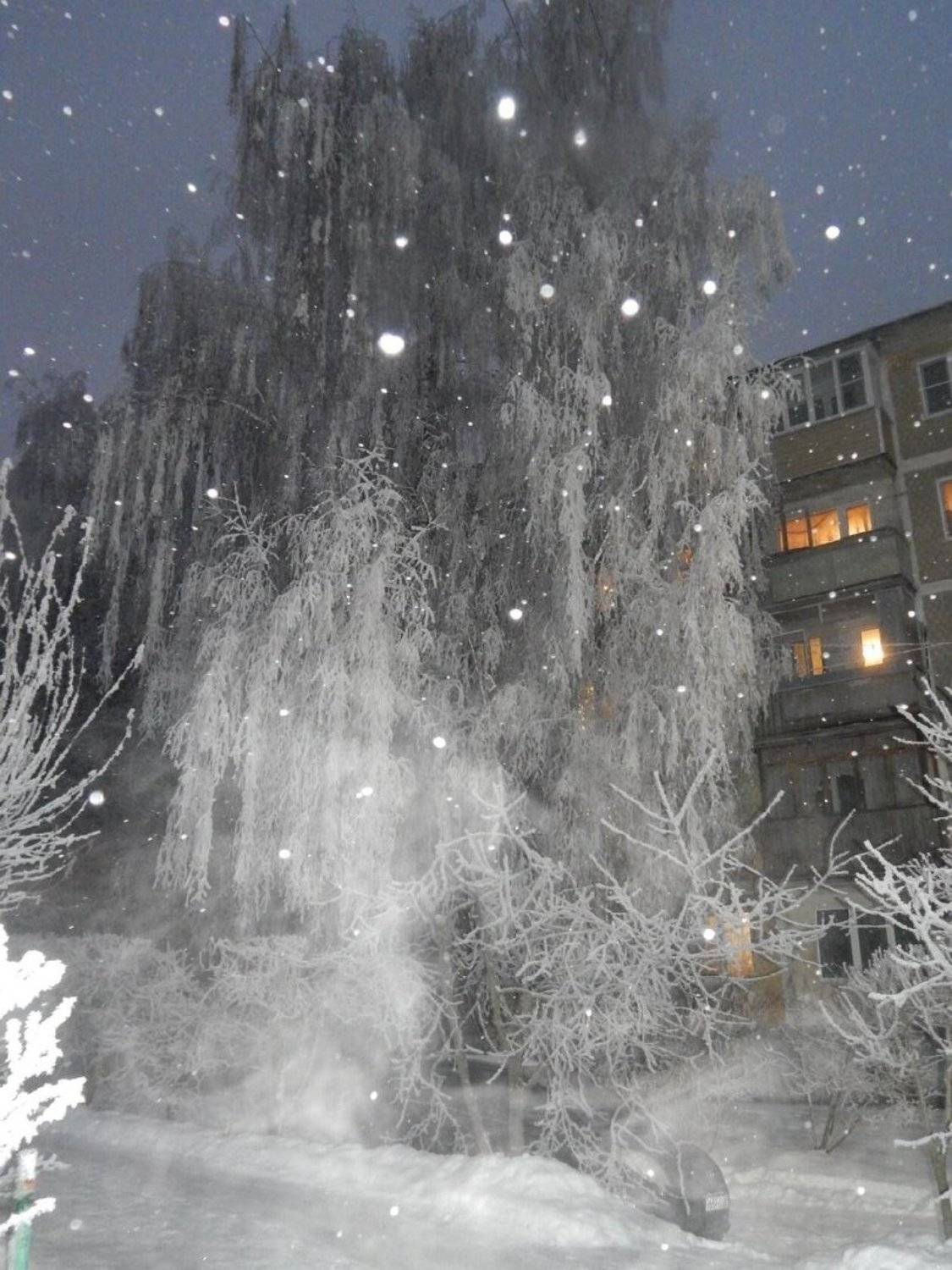Photo #5846884