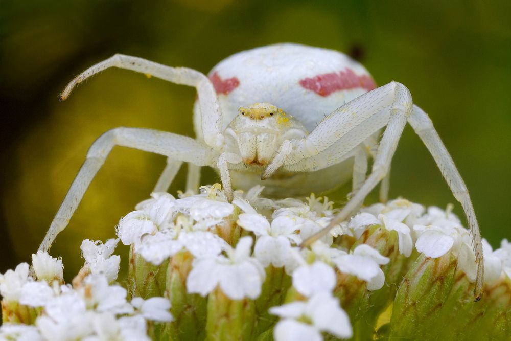 Photograph by Кузнецов Дмитрий
