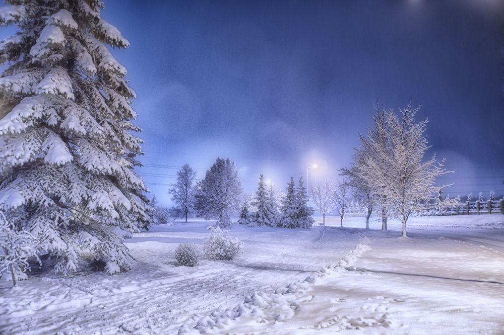 Фотография автора Юлия Кранина