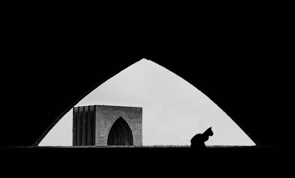 Photograph by Kazi Nahian Haider Amlan