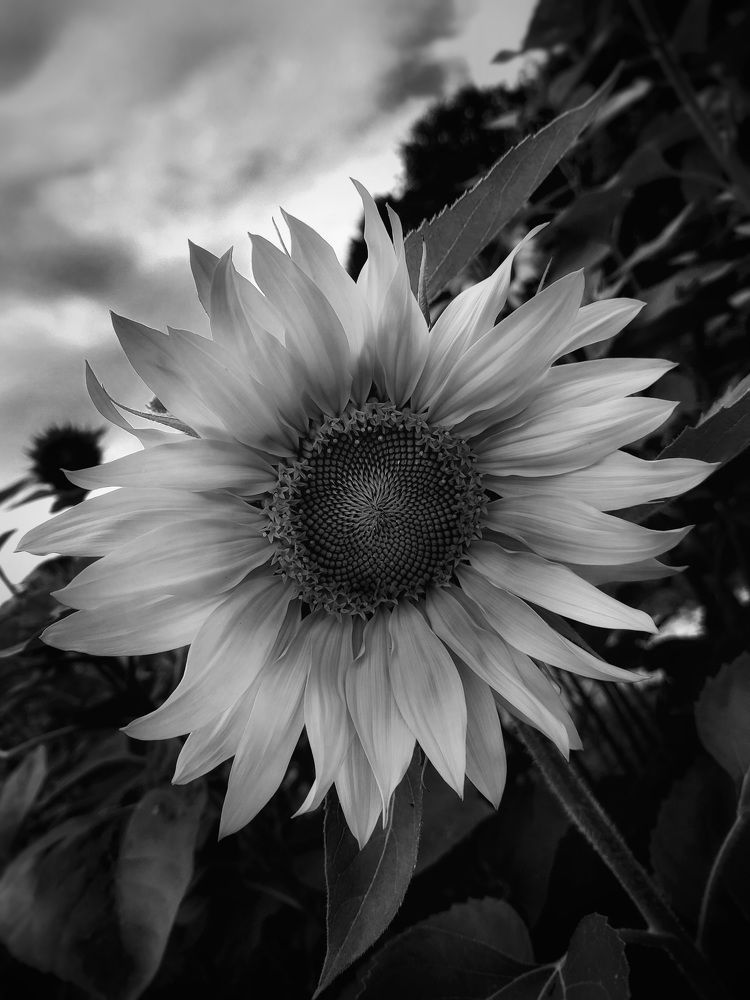 Photo #5846919
