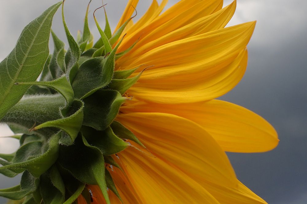 Photograph by Atelie-to