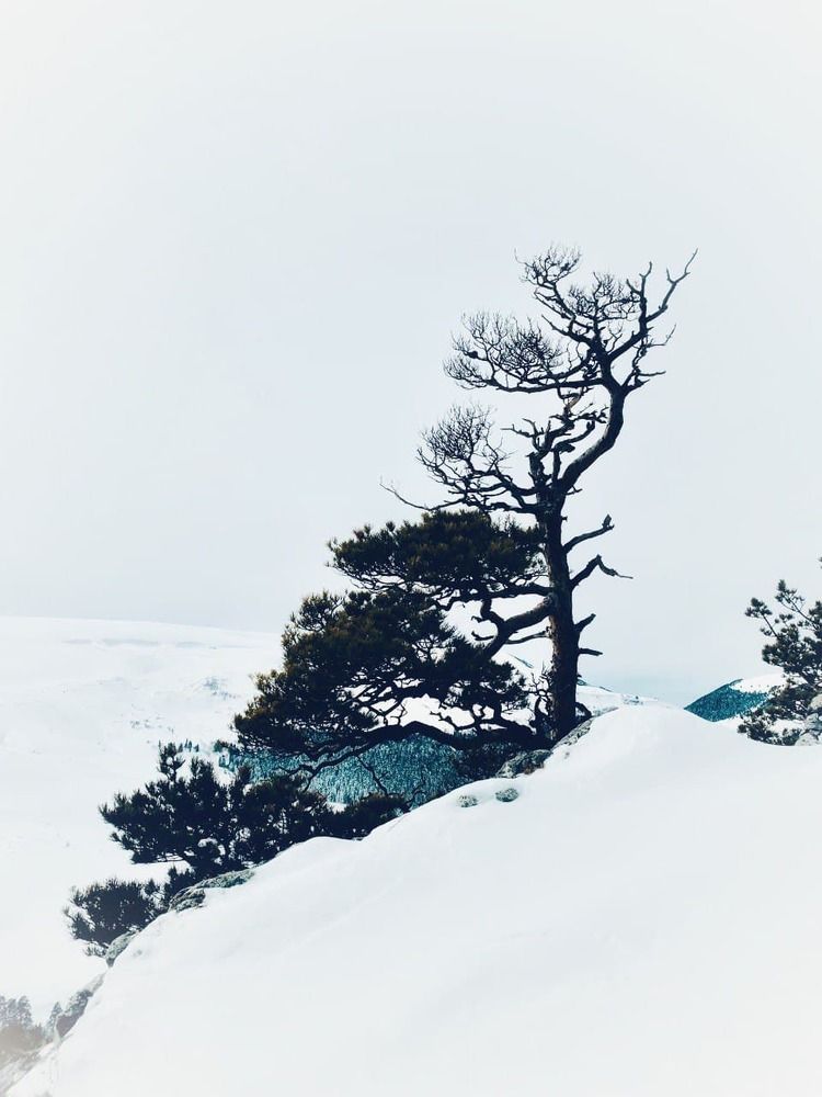 Photograph by Александр Арасланов