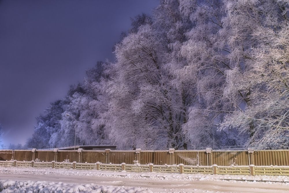 Фотография автора Юлия Кранина