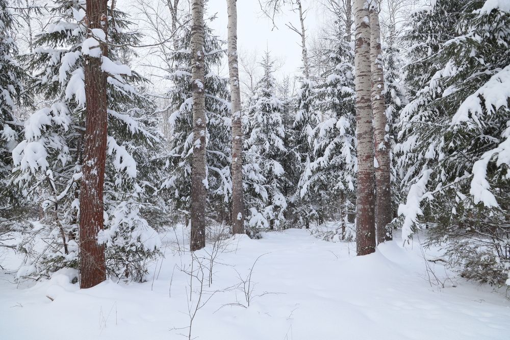 Photograph by Виктор