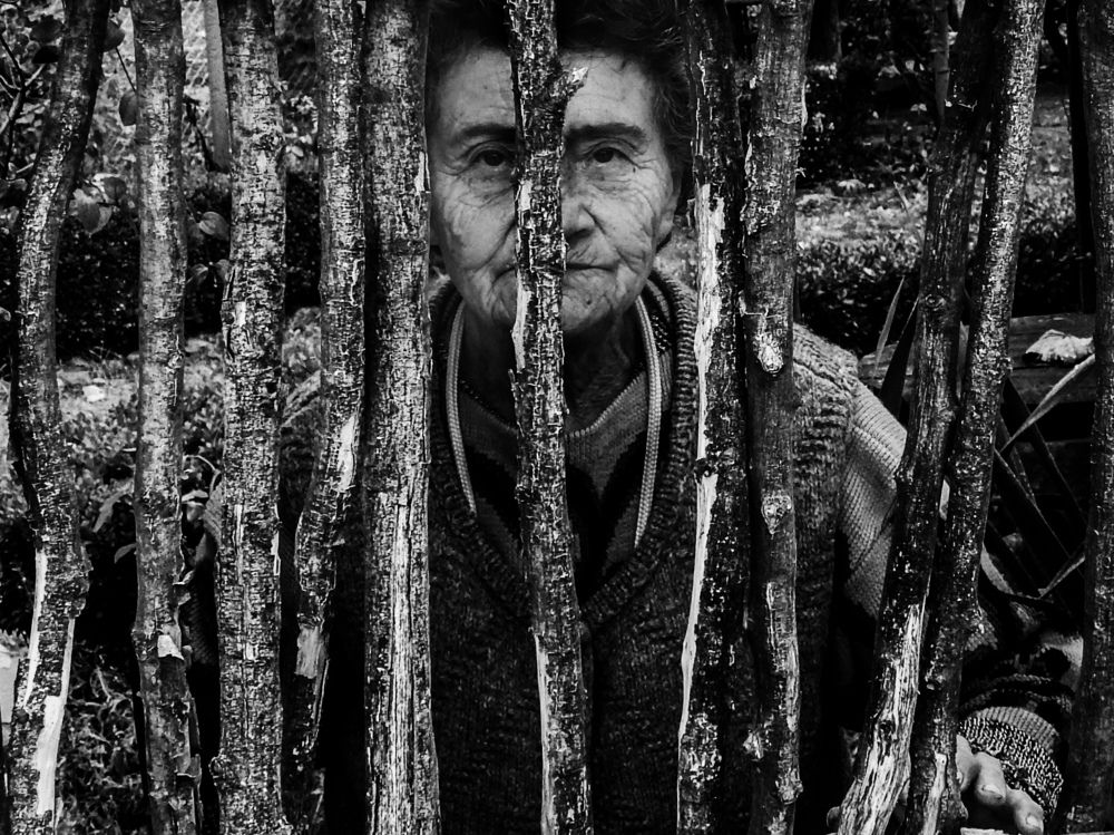 Photograph by Atelie-to