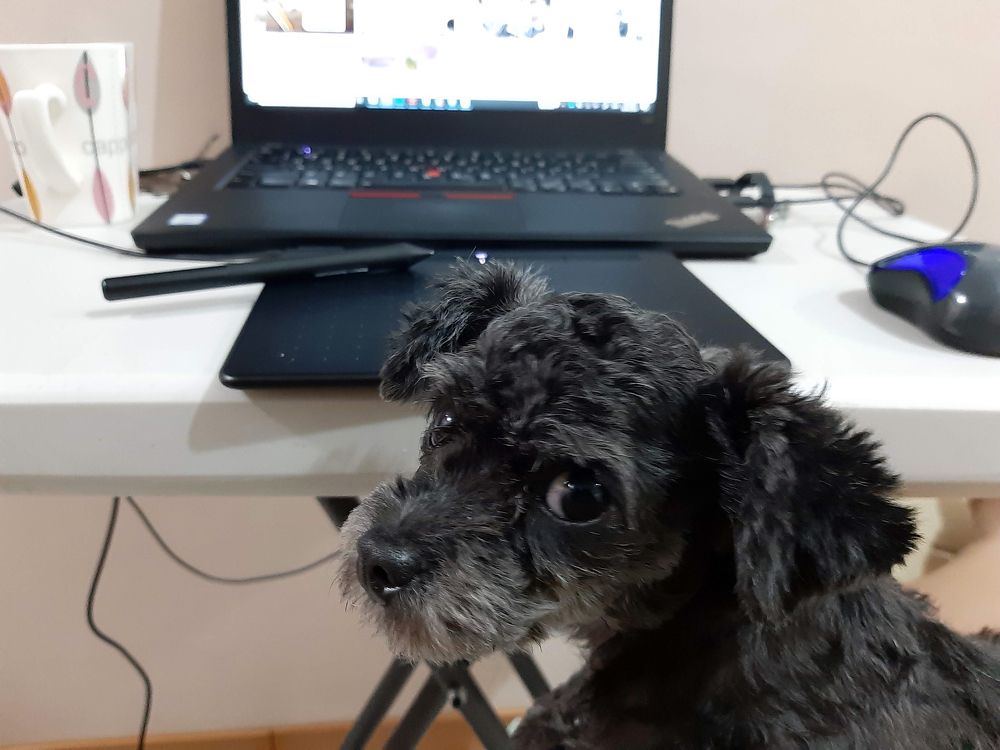 Dogs Online learning