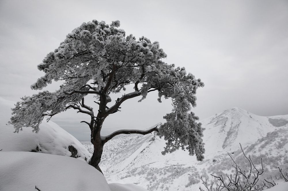 Photograph by Marat Magov